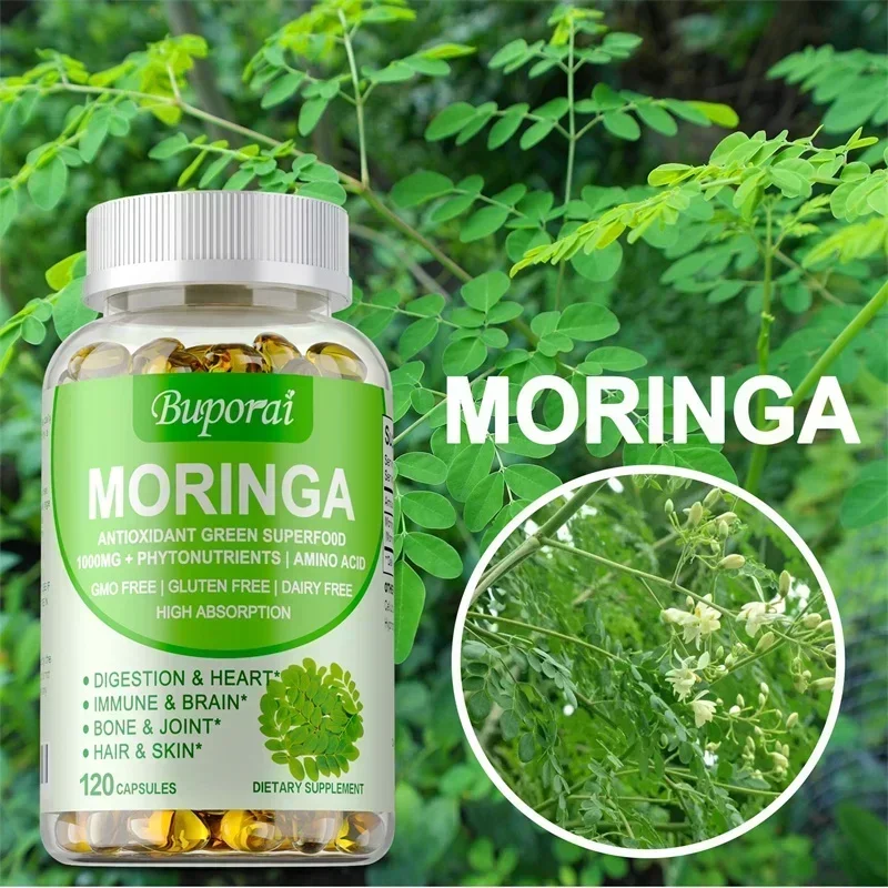 Moringa Leaf Powder - Moringa-Kapseln – Unterstützen Sie das Immunsystem,