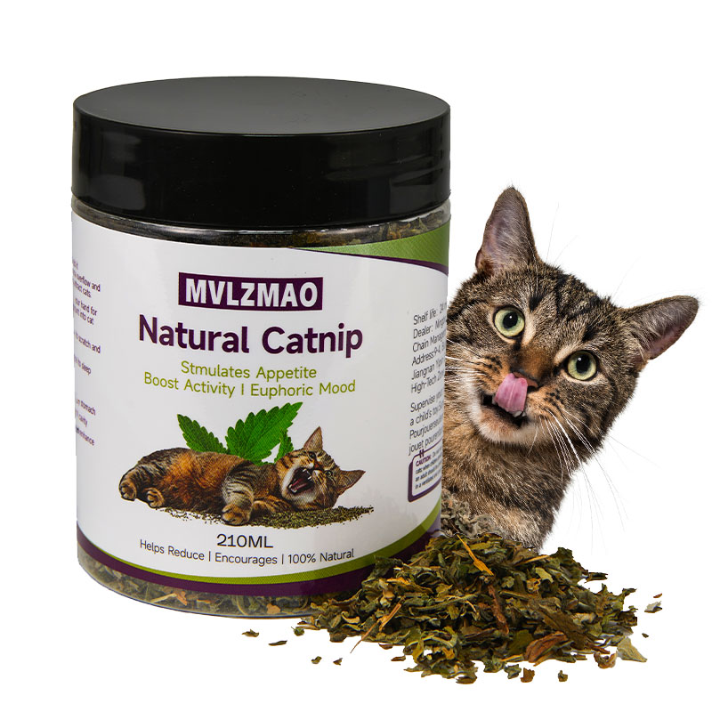 Herbal Wellness Products - Katzenspielzeug – Silvervine-Katzenminze für Katzen, 100