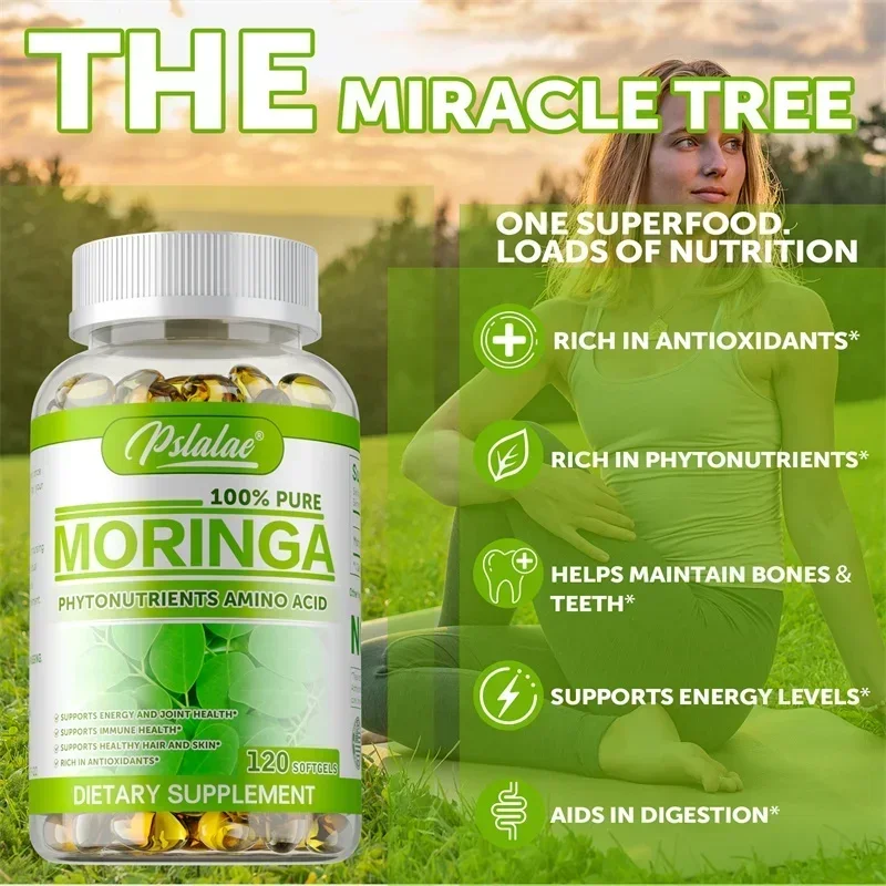 Moringa-Kapseln – Antioxidans, – Moringa Leaf Powder Bewertung und Preis