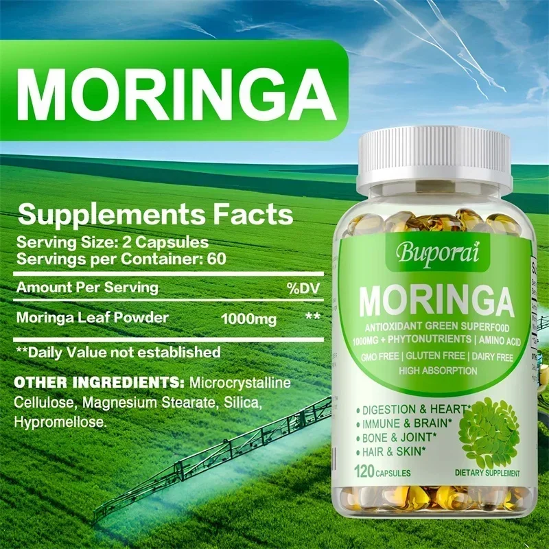 Moringa-Kapseln – steigert den – Moringa Leaf Powder Bewertung und Preis