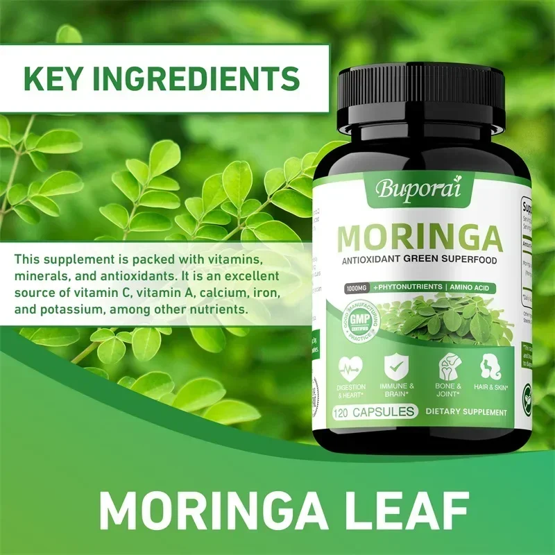 Moringa-Kapseln – Antioxidanti – Moringa Leaf Powder Bewertung und Preis