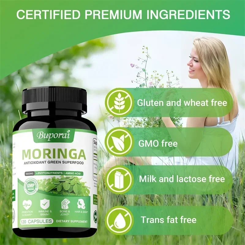 Moringa-Kapseln – Antioxidanti – Moringa Leaf Powder Bewertung und Preis