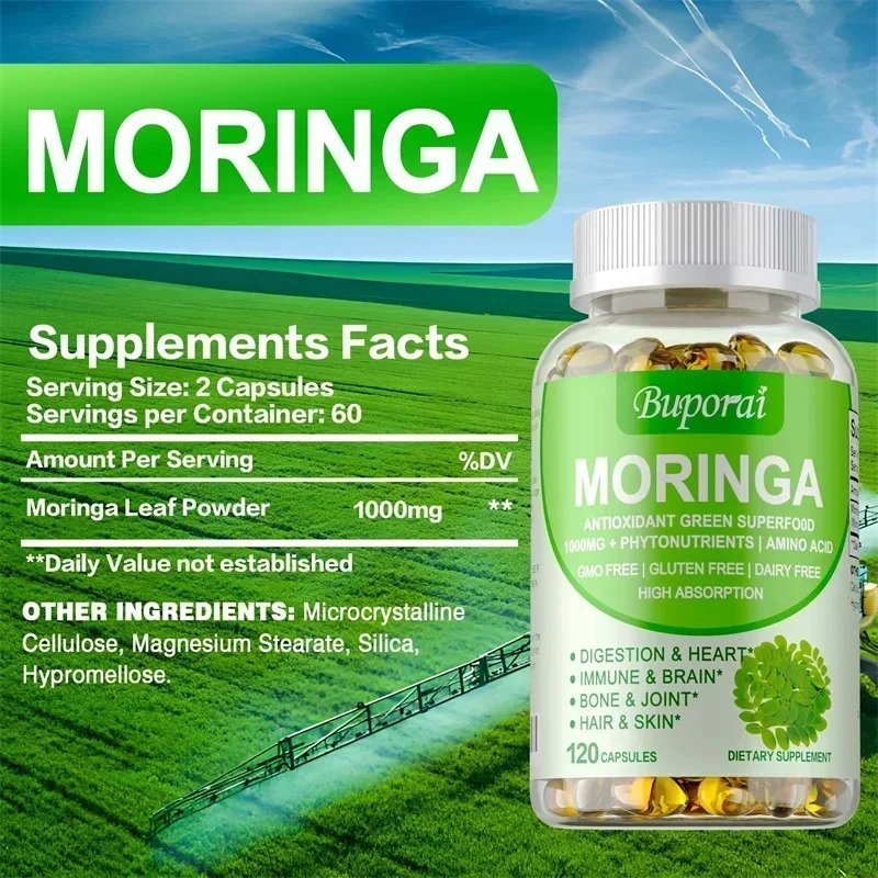 Moringa-Kapseln – Unterstützen – Moringa Leaf Powder Bewertung und Preis