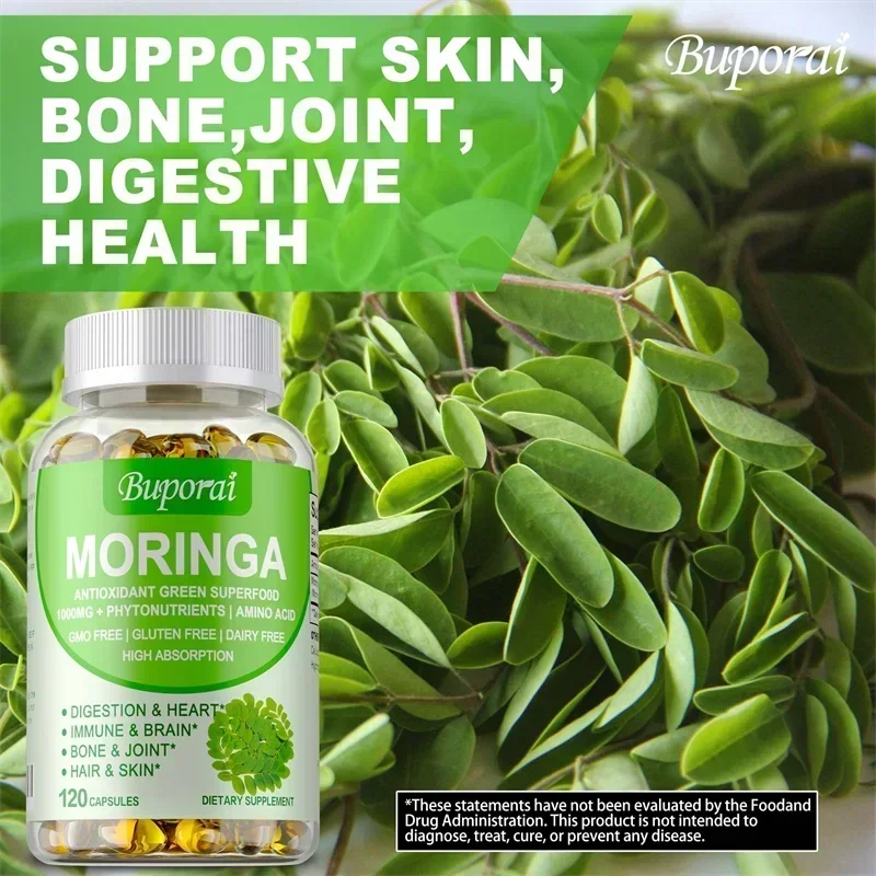 Moringa-Kapseln – Unterstützen – Moringa Leaf Powder Bewertung und Preis