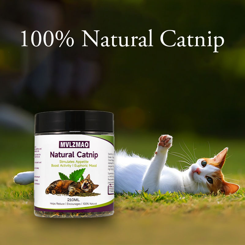 Katzenspielzeug – Silvervine-K – Herbal Wellness Products Bewertung und Preis