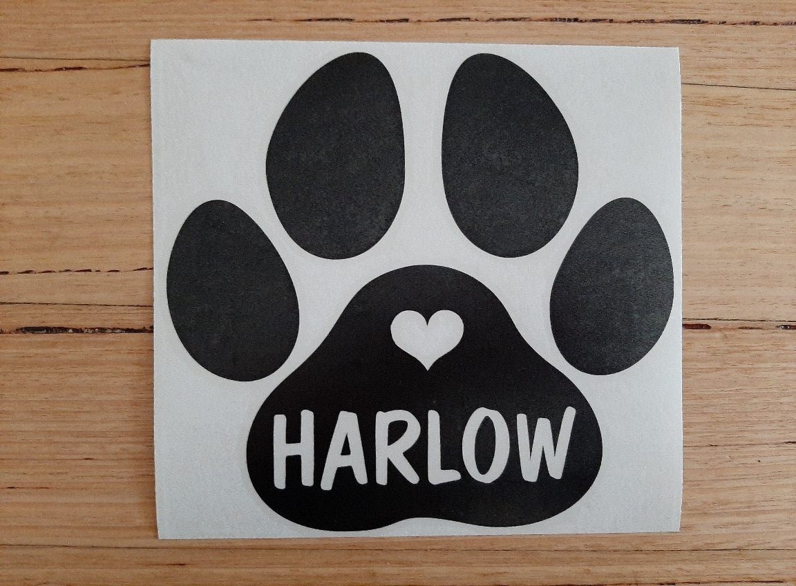 2 Stück personalisierter Pfote – Cat Claw Bark Bewertung und Preis